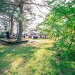 31093397_1730667843696144_1895867056297869312_n