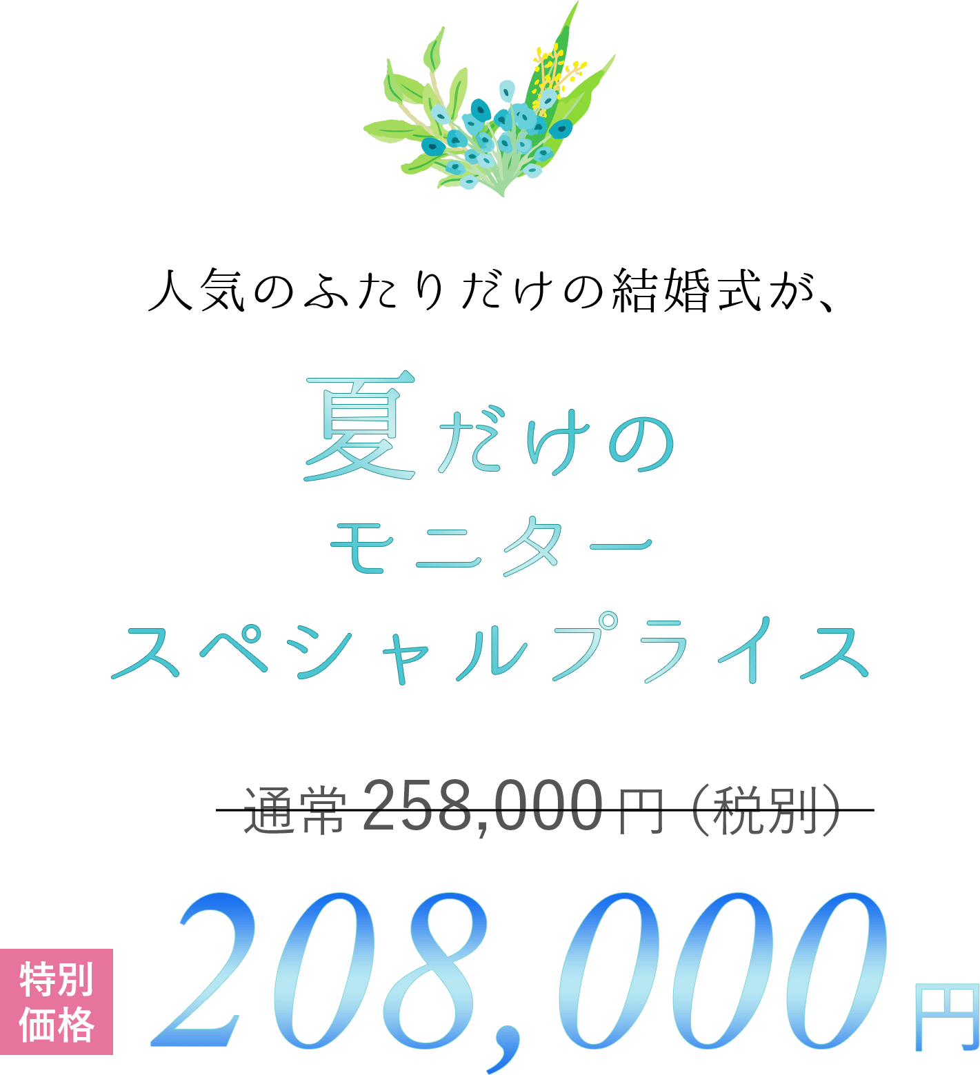 price_summer4